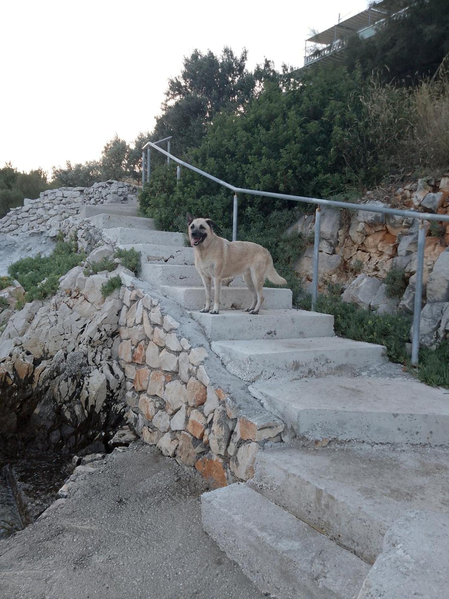 Villa Pinky And Superior Trogir Seget Vranjica Exteriér fotografie