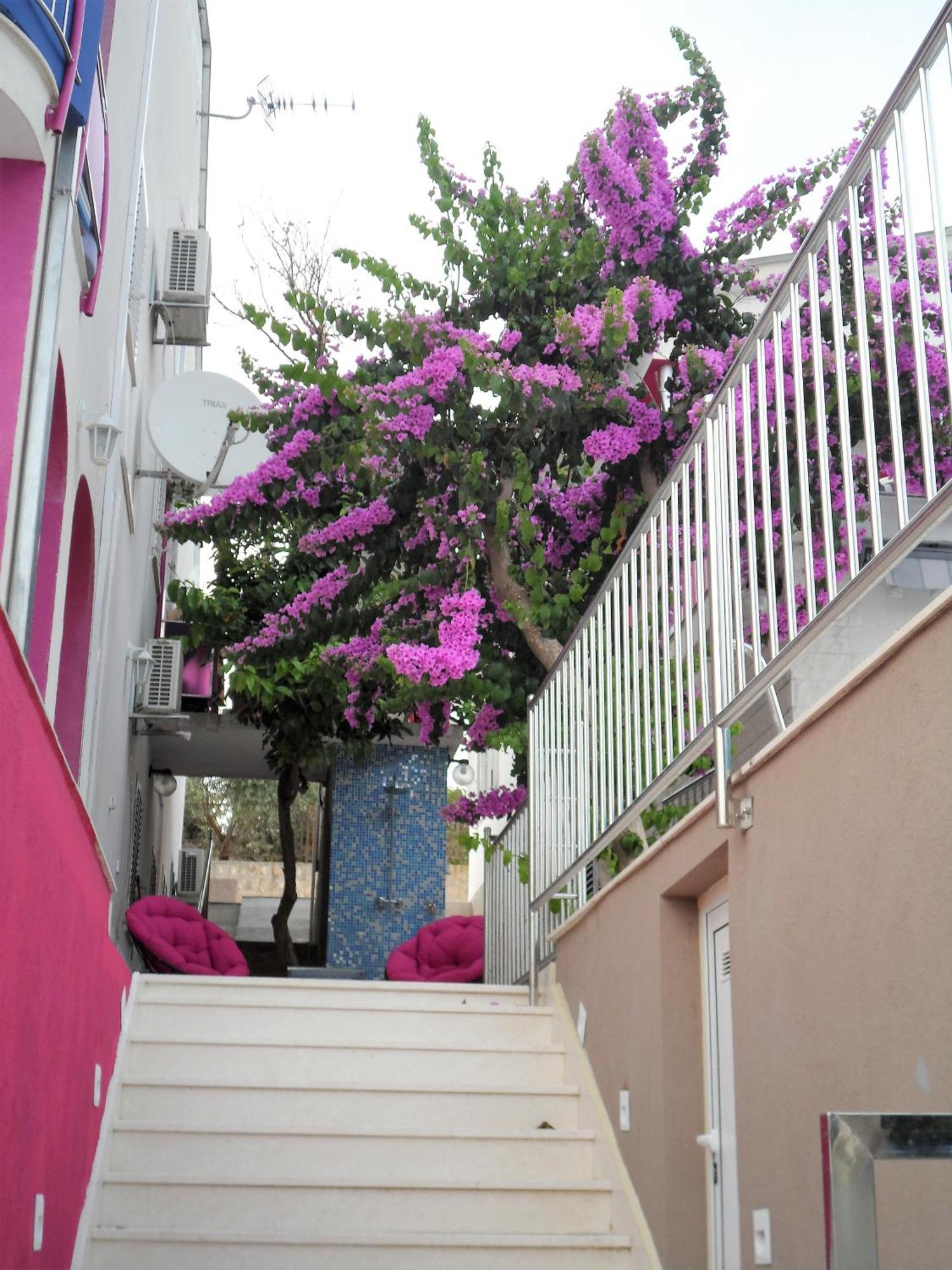Villa Pinky And Superior Trogir Seget Vranjica Exteriér fotografie